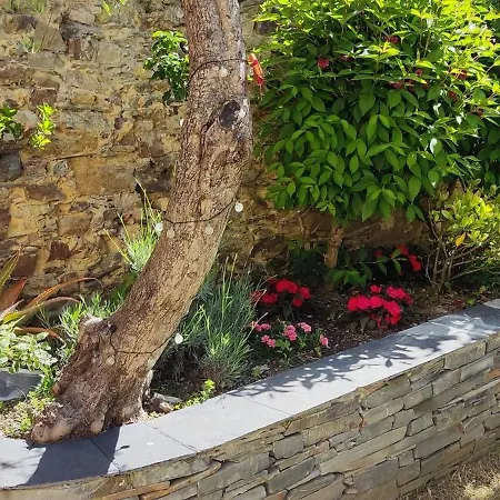 Namor Хостел Рибадео